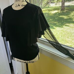 Elegant Black Ruffle Sleeve Top.. How demure!